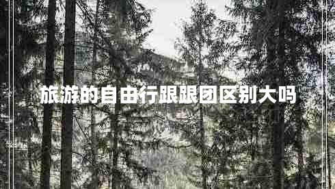 旅游的自由行跟跟團區(qū)別大嗎