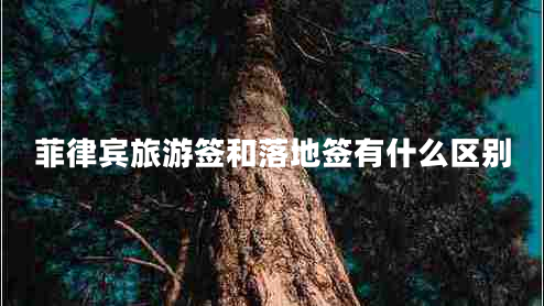 菲律賓旅游簽和落地簽有什么區(qū)別 菲律賓旅游簽和落地簽有什么區(qū)別