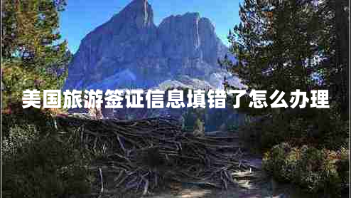 美國旅游簽證信息填錯(cuò)了怎么辦理