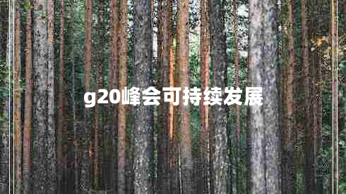 g20峰會可持續(xù)發(fā)展