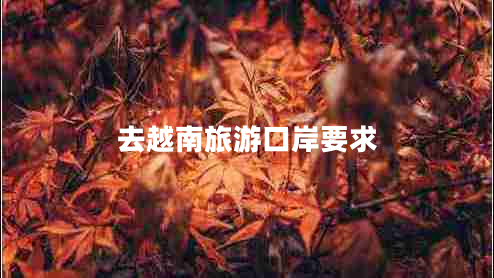 去越南旅游口岸要求 去越南旅游口岸要求