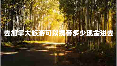 去加拿大旅游可以攜帶多少現(xiàn)金進去