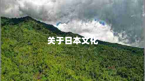 關(guān)于日本文化 關(guān)于日本文化