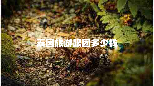 泰國旅游跟團(tuán)多少錢 泰國旅游跟團(tuán)多少錢