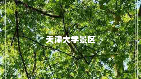 天津大學(xué)景區(qū)