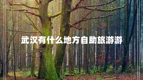 武漢有什么地方自助旅游游