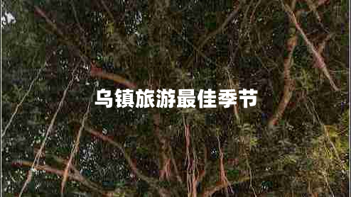 烏鎮(zhèn)旅游最佳季節(jié)