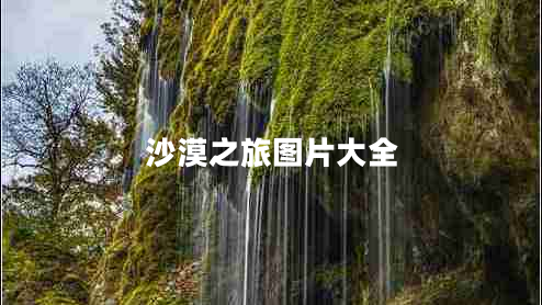 沙漠之旅圖片大全 沙漠之旅圖片大全