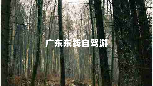廣東東線自駕游