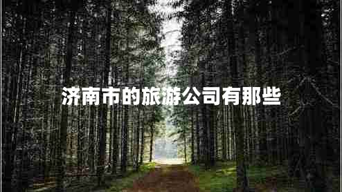 濟(jì)南市的旅游公司有那些