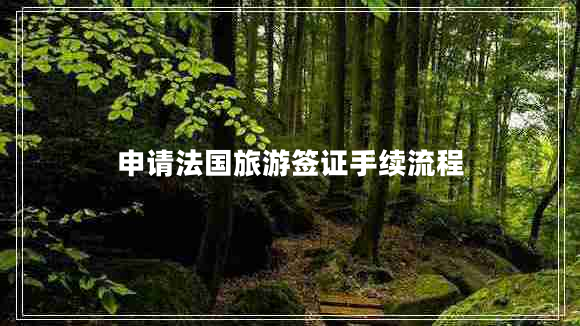 申請法國旅游簽證手續(xù)流程 申請法國旅游簽證手續(xù)流程