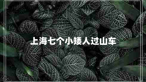 上海七個(gè)小矮人過山車 上海七個(gè)小矮人過山車