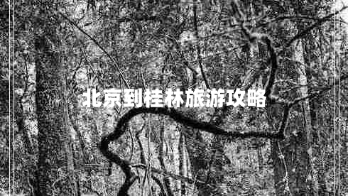 北京到桂林旅游攻略 北京到桂林旅游攻略