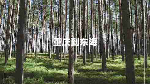 重慶到東海 重慶到東海