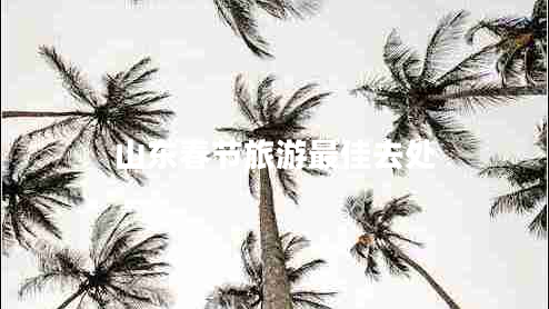 山東春節(jié)旅游最佳去處