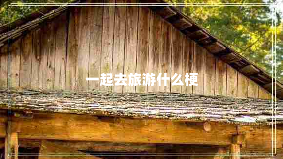 一起去旅游什么梗