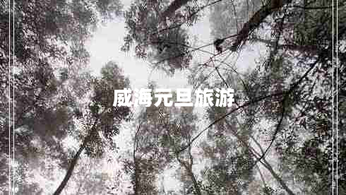 威海元旦旅游 威海元旦旅游