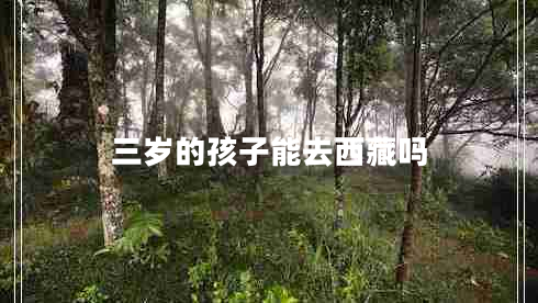 三歲的孩子能去西藏嗎 三歲的孩子能去西藏嗎