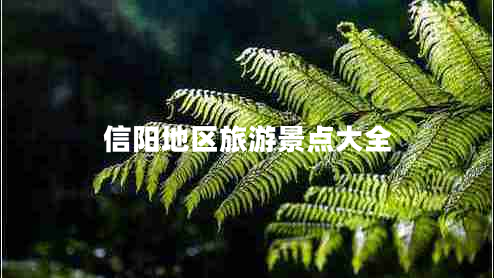 信陽地區(qū)旅游景點大全