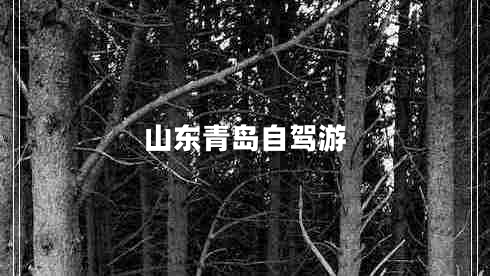 山東青島自駕游 山東青島自駕游