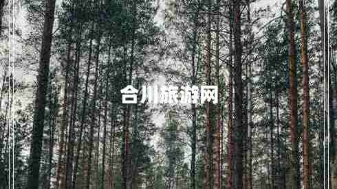 合川旅游網(wǎng) 合川旅游網(wǎng)