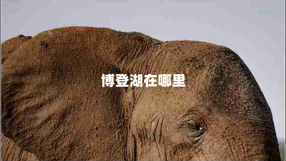 博登湖在哪里 博登湖在哪里