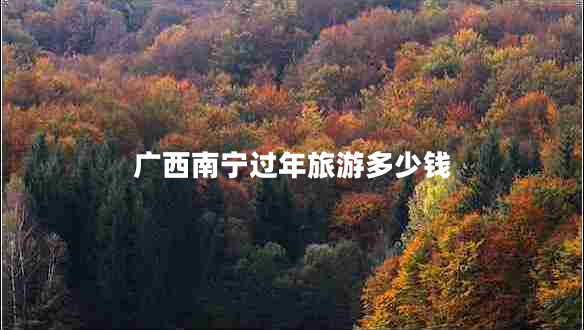 廣西南寧過年旅游多少錢