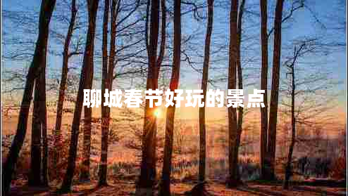 聊城春節(jié)好玩的景點 聊城春節(jié)好玩的景點