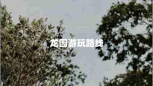 龍園游玩路線