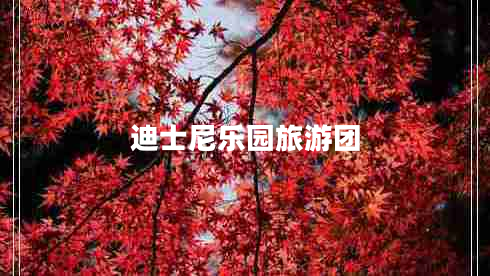 迪士尼樂園旅游團(tuán)