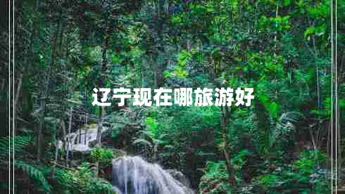 遼寧現(xiàn)在哪旅游好