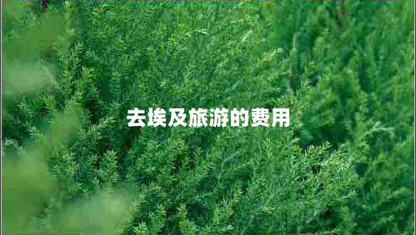 去埃及旅游的費(fèi)用 去埃及旅游的費(fèi)用