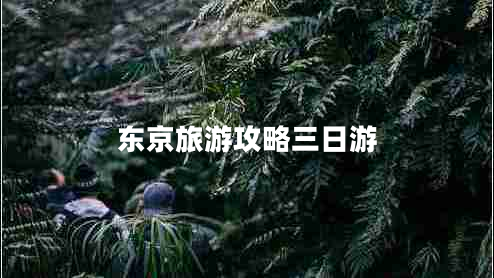 東京旅游攻略三日游