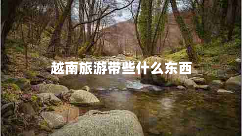 越南旅游帶些什么東西 越南旅游帶些什么東西