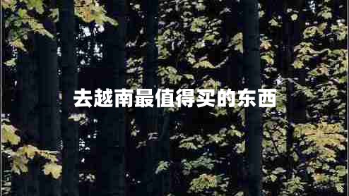 去越南最值得買的東西