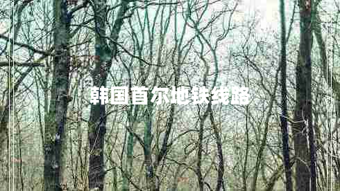 韓國首爾地鐵線路 韓國首爾地鐵線路