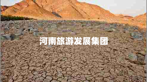 河南旅游發(fā)展集團(tuán)