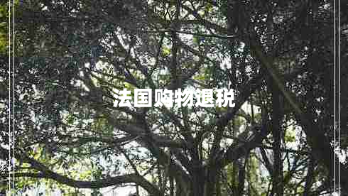 法國(guó)購(gòu)物退稅