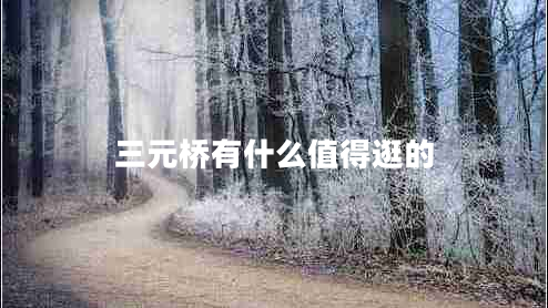 三元橋有什么值得逛的 三元橋有什么值得逛的