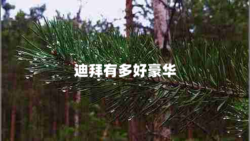 迪拜有多好豪華 迪拜有多好豪華