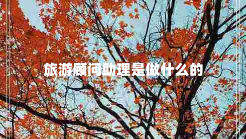 旅游顧問助理是做什么的