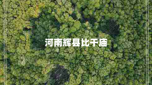 河南輝縣比干廟 河南輝縣比干廟