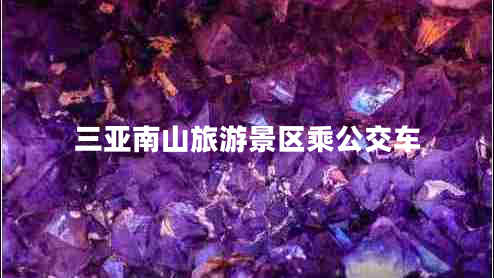 三亞南山旅游景區(qū)乘公交車