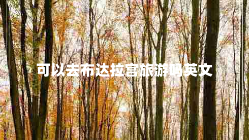 可以去布達(dá)拉宮旅游嗎英文