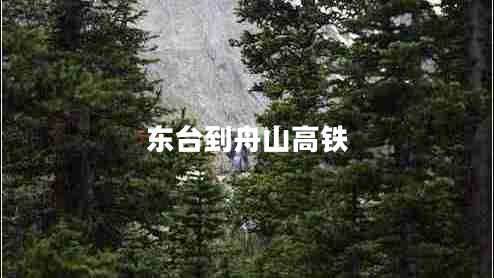 東臺(tái)到舟山高鐵 東臺(tái)到舟山高鐵