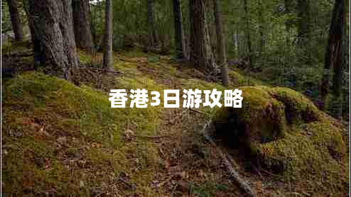香港3日游攻略