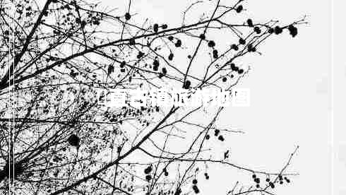 甪直古鎮(zhèn)旅游地圖 甪直古鎮(zhèn)旅游地圖