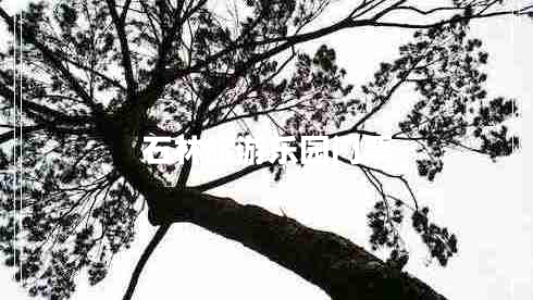 石林旅游樂園門票 石林旅游樂園門票