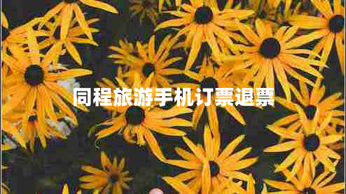 同程旅游手機訂票退票 同程旅游手機訂票退票