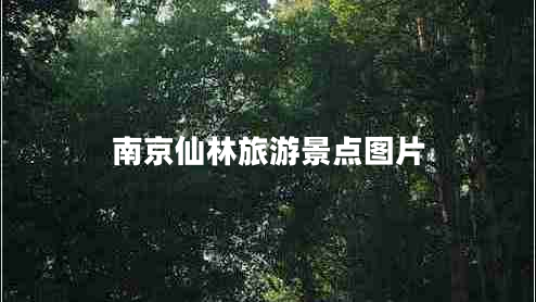南京仙林旅游景點圖片